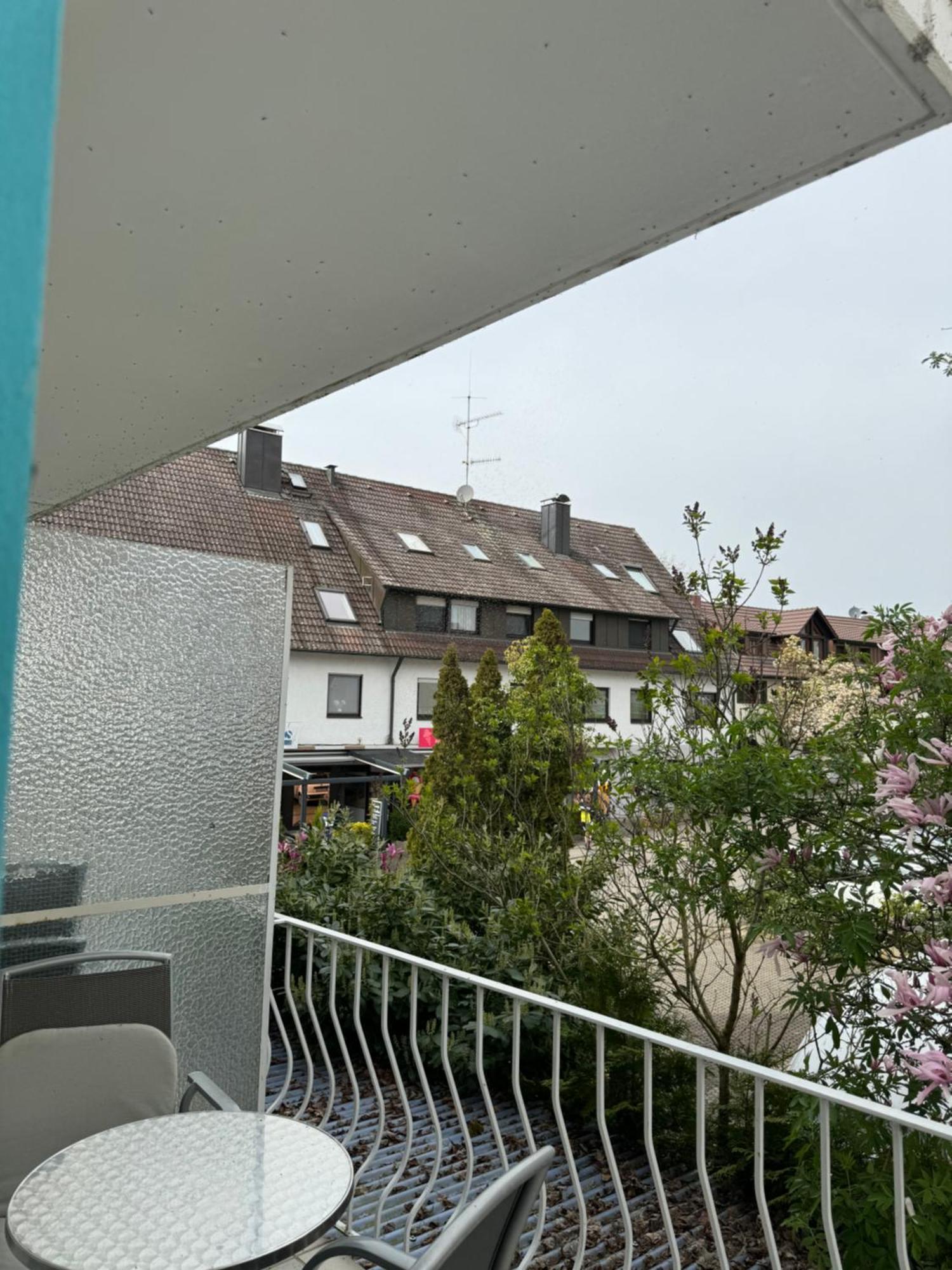 See-Hotel Seeschau - Direkt Am Bodenseeufer Reichenau Exteriör bild