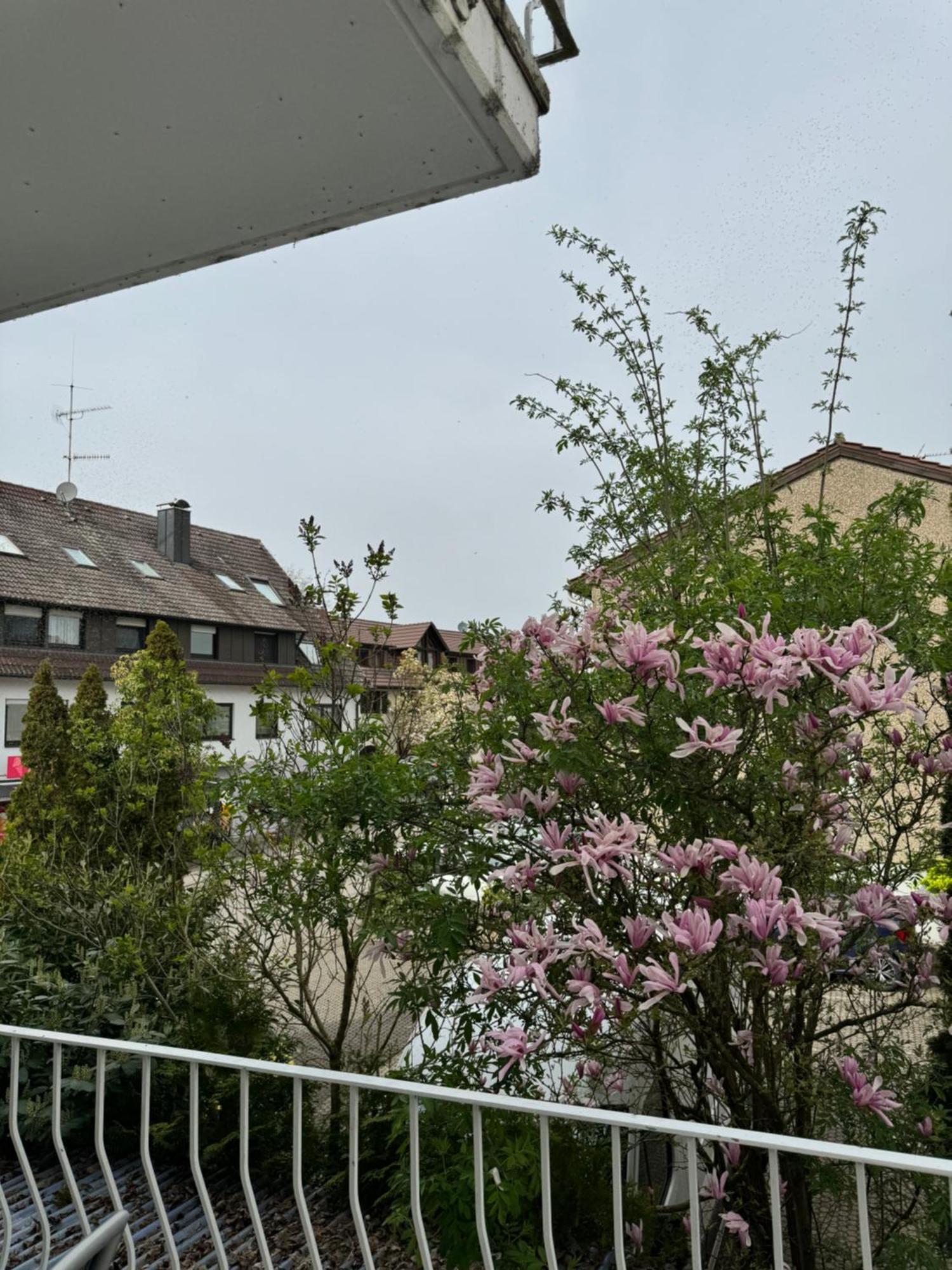 See-Hotel Seeschau - Direkt Am Bodenseeufer Reichenau Exteriör bild
