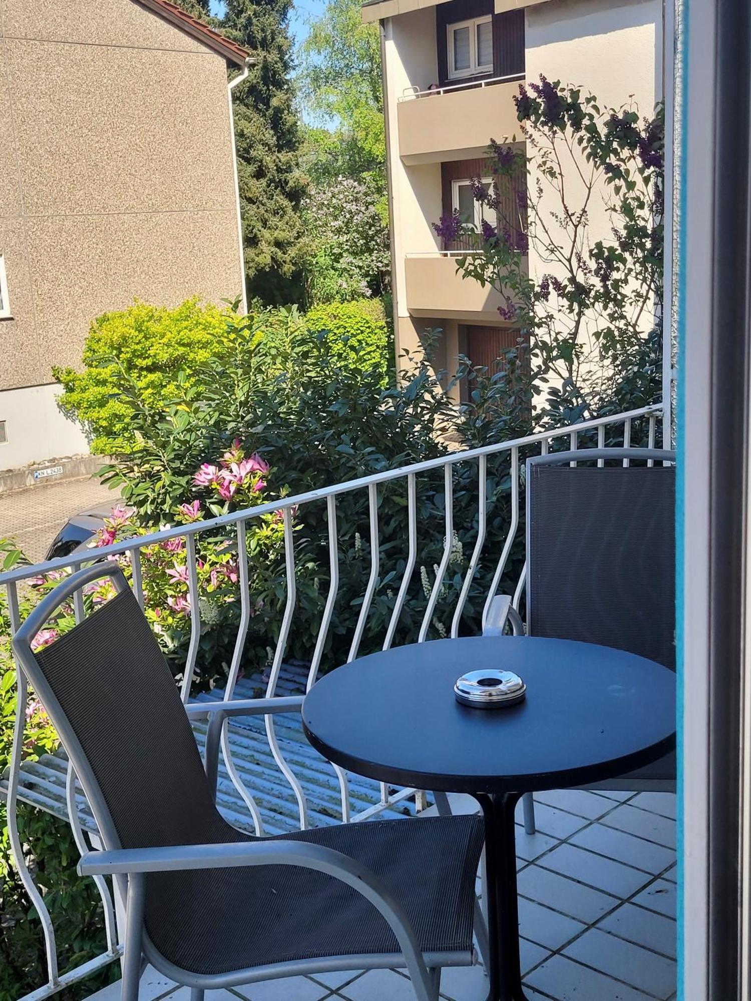 See-Hotel Seeschau - Direkt Am Bodenseeufer Reichenau Exteriör bild
